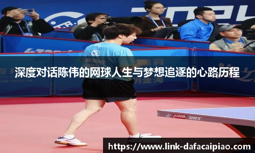 深度对话陈伟的网球人生与梦想追逐的心路历程